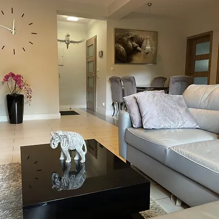 Safari W Centrum Apartzakop